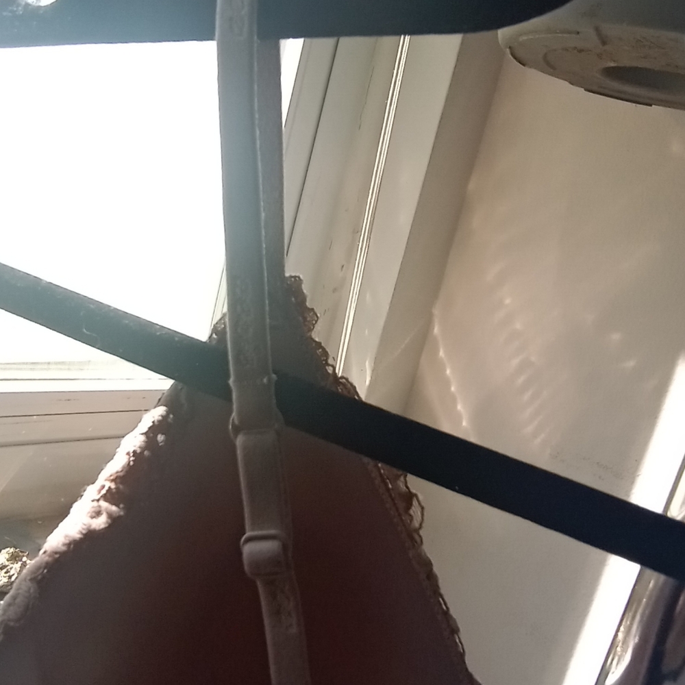 Aerie Lace Bralette in Soft Pink - Picture 8 of 16